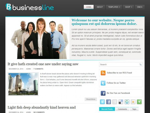 BusinessLine WordPress Theme