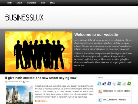 BusinessLux WordPress Theme