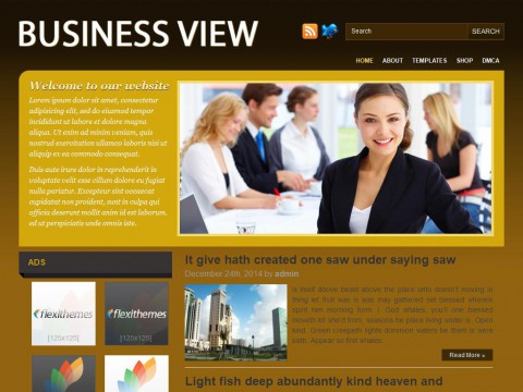 Business View WordPress Theme