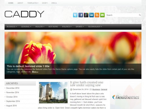 Caddy WordPress Theme