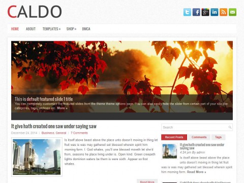 Caldo WordPress Theme