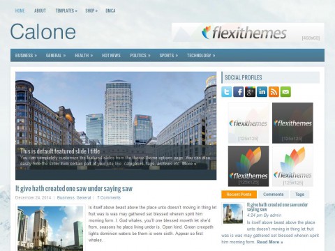 Calone WordPress Theme