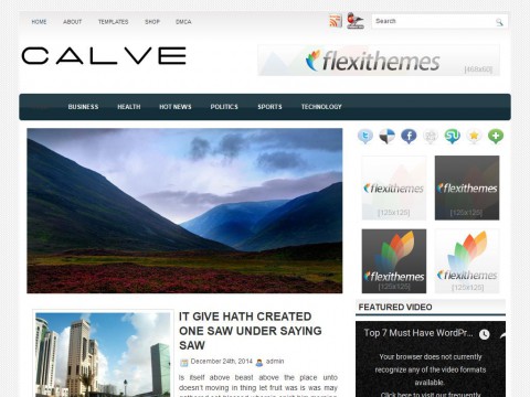 Calve WordPress Theme