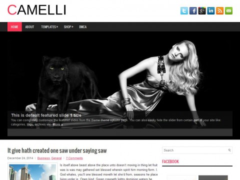 Camelli WordPress Theme