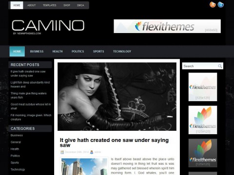 Camino WordPress Theme