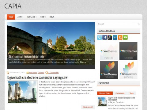 Capia WordPress Theme