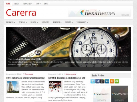 Carerra WordPress Theme