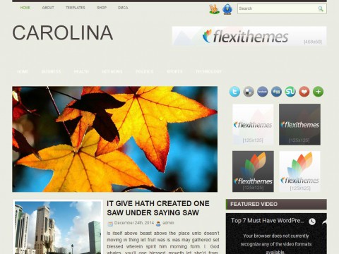 Carolina WordPress Theme