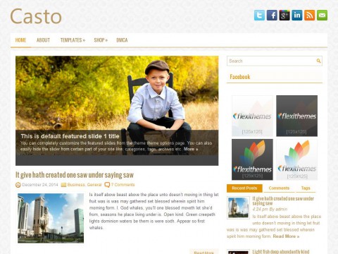 Casto WordPress Theme