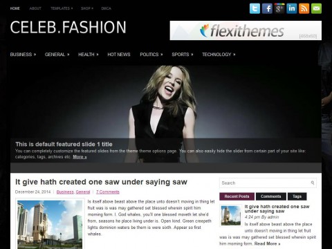 CelebFashion WordPress Theme