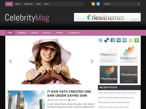 CelebrityMag WordPress Theme