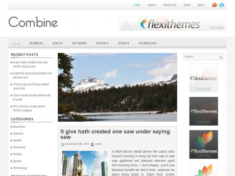 Combine WordPress Theme