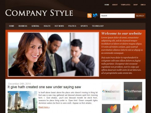 Company Style WordPress Theme