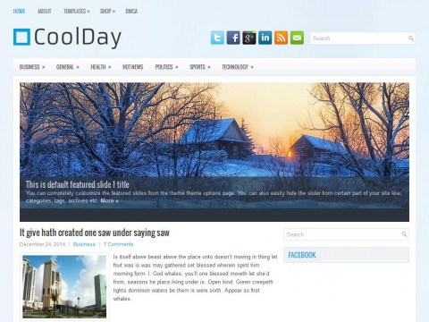 CoolDay WordPress Theme