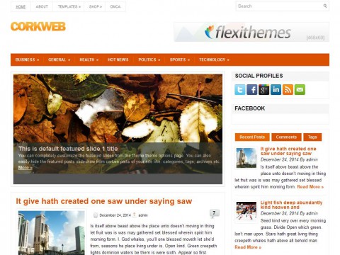 CorkWeb WordPress Theme