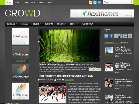 Crowd WordPress Theme