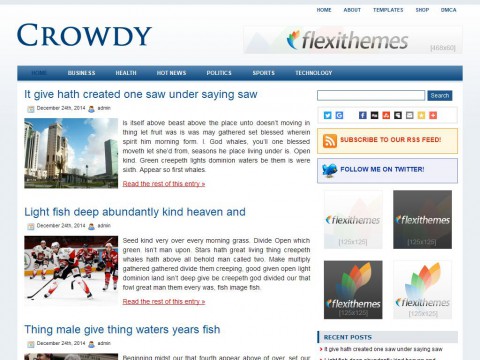 Crowdy WordPress Theme