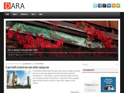 Dara WordPress Theme