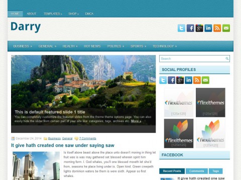 Darry WordPress Theme