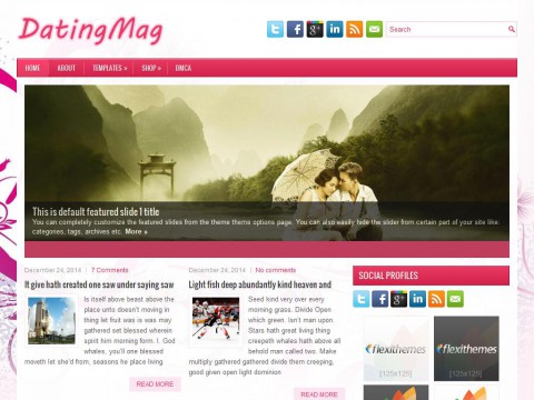 DatingMag WordPress Theme