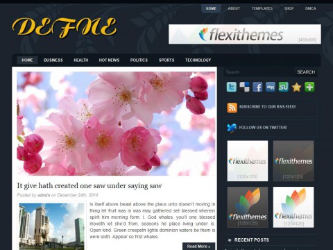 Defne WordPress Theme