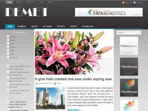 Demet WordPress Theme