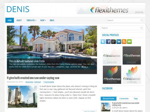 Denis WordPress Theme