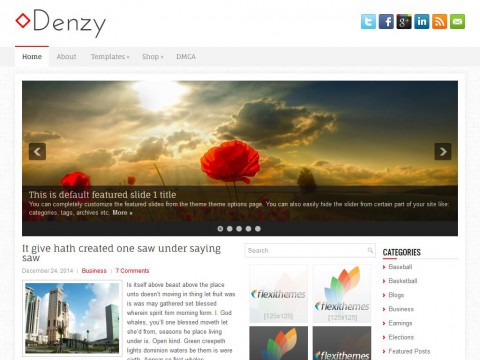 Denzy WordPress Theme