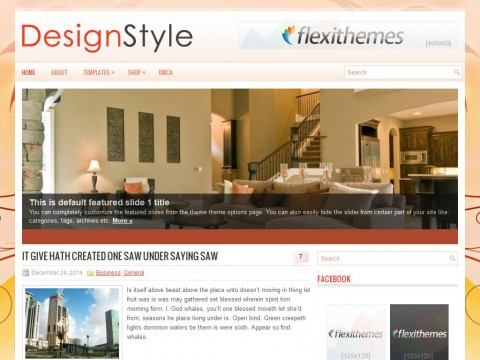 DesignStyle WordPress Theme