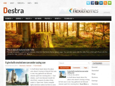 Destra WordPress Theme