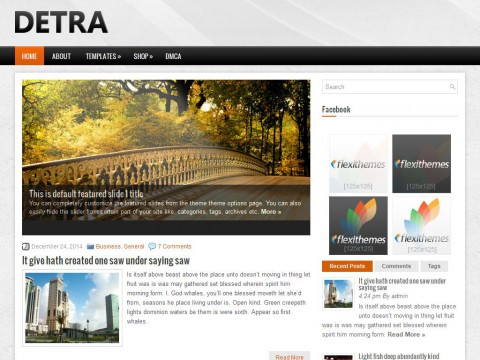 Detra WordPress Theme