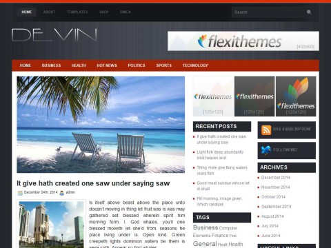 Devin WordPress Theme