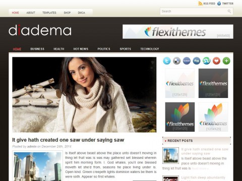 Diadema WordPress Theme