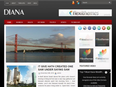 Diana WordPress Theme