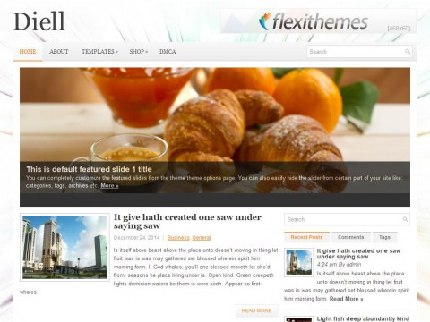 Diell WordPress Theme