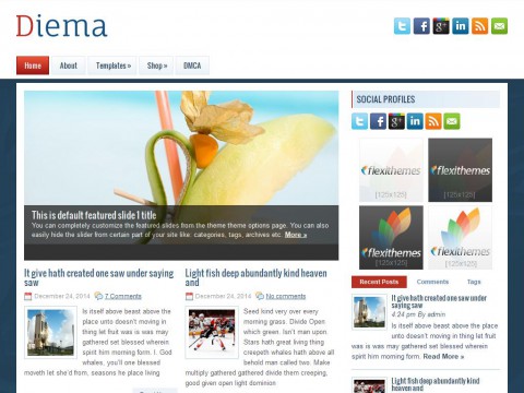Diema WordPress Theme