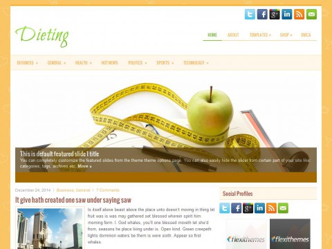 Dieting WordPress Theme