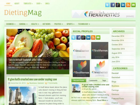 DietingMag WordPress Theme