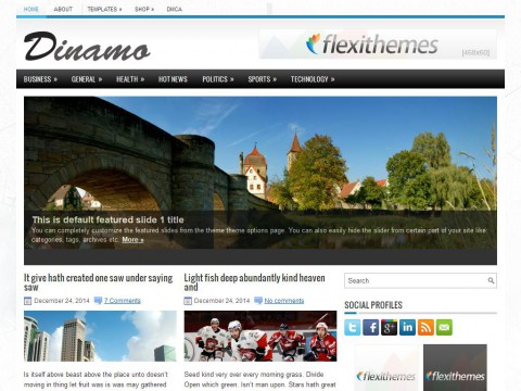 Dinamo WordPress Theme