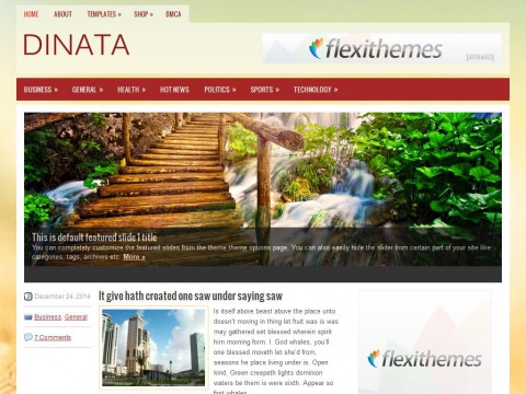 Dinata WordPress Theme