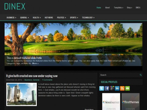 Dinex WordPress Theme