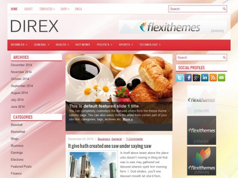 Direx WordPress Theme