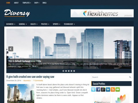 Diversy WordPress Theme