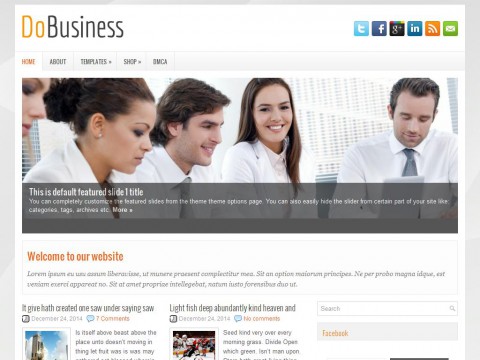 DoBusiness WordPress Theme