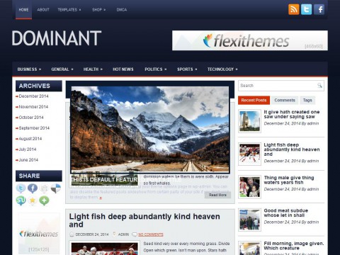 Dominant WordPress Theme