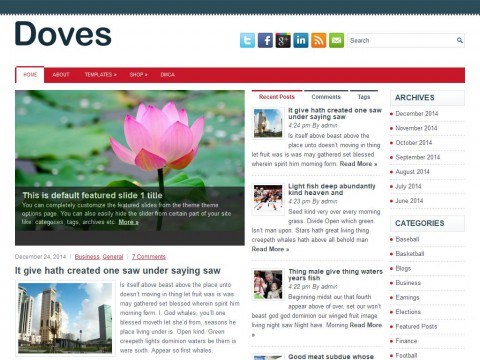 Doves WordPress Theme