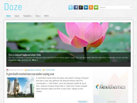 Doze WordPress Theme