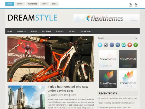 DreamStyle WordPress Theme