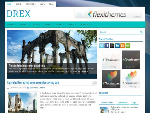 Drex WordPress Theme