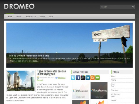 Dromeo WordPress Theme